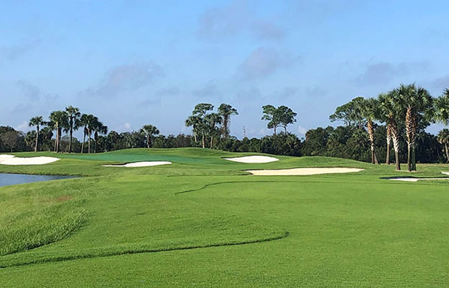 Sand traps on golf course